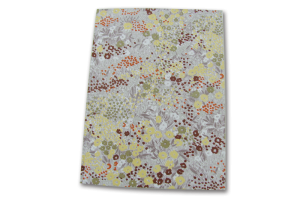 Notebook11