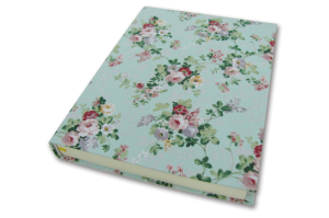 Notebook17